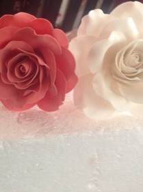Tamsugarcraft